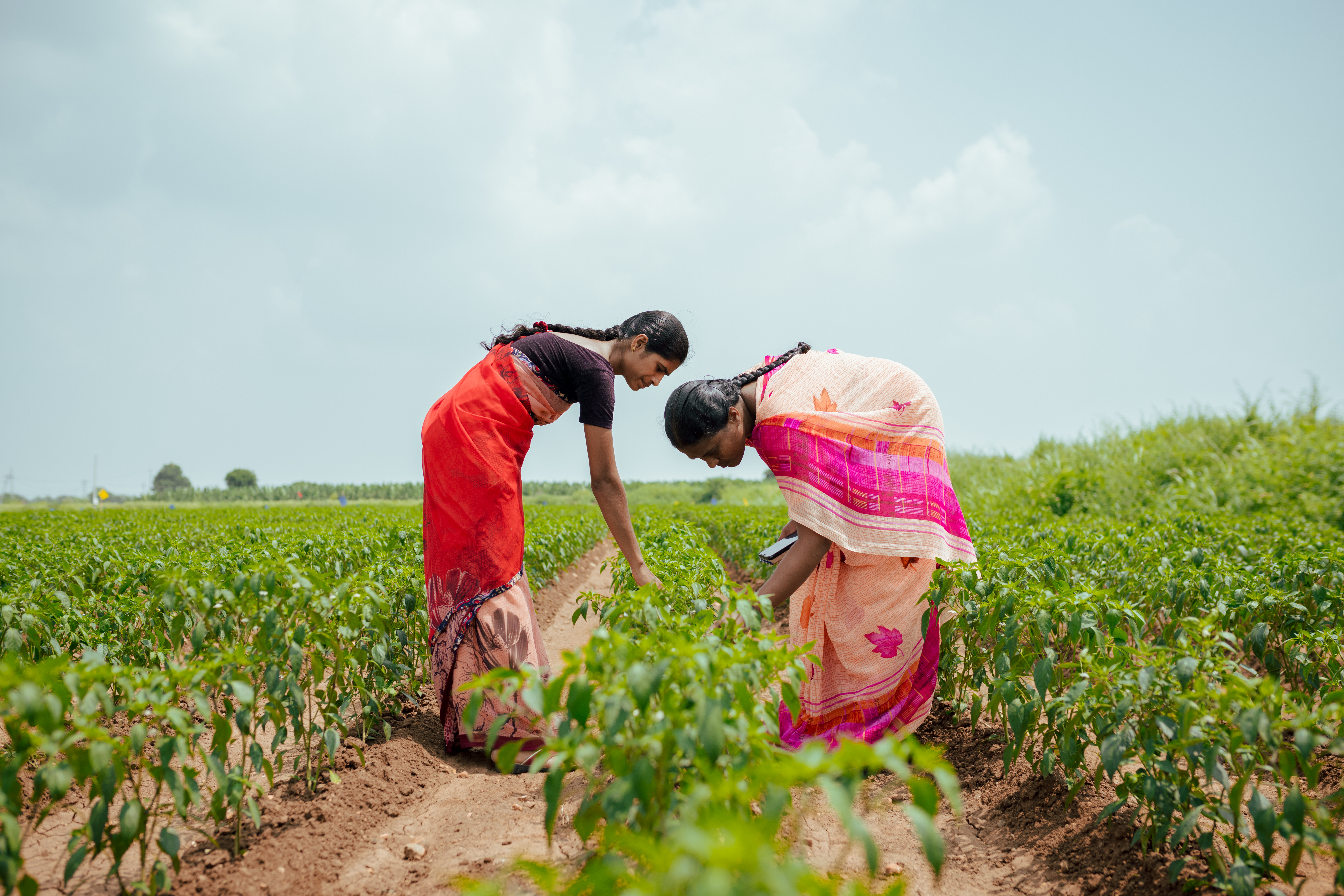 Technology-powered agriculture