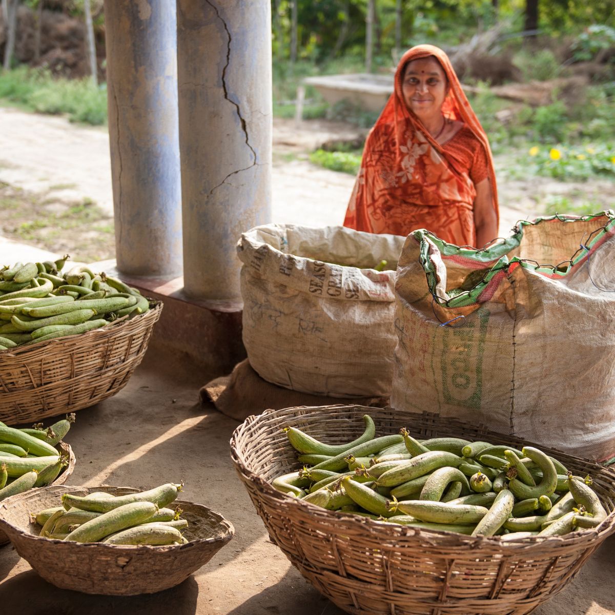 Farmer using digital advisory technology in the field